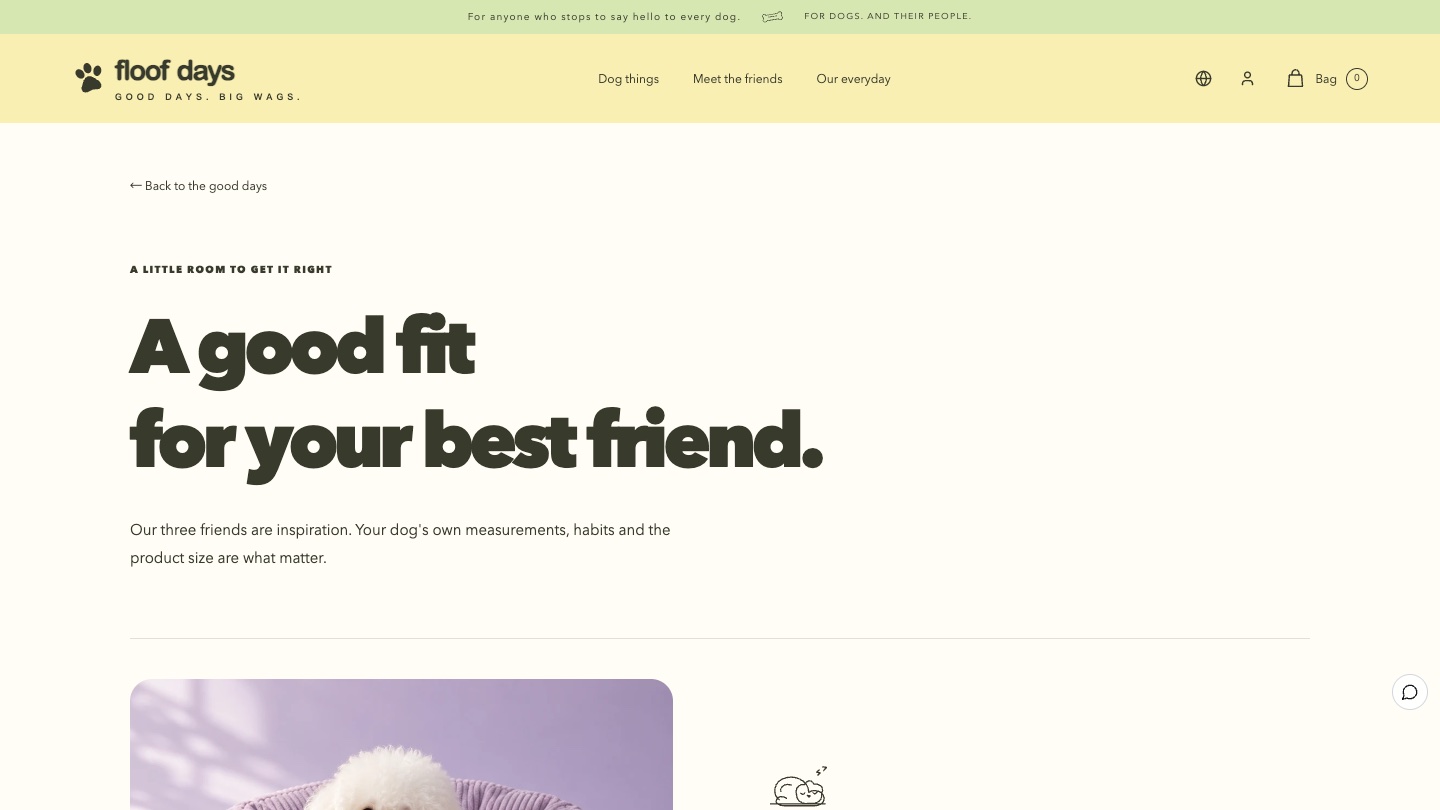 Guide: A good fit for your best friend